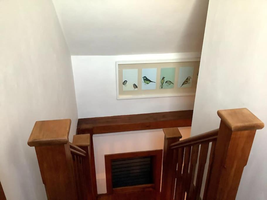 Selfcatering Coach House New Forest Dog Friendly *