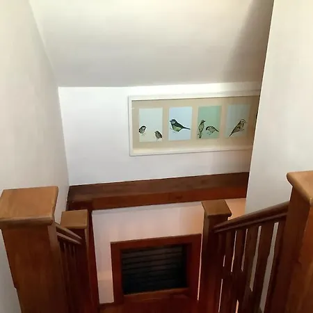 Selfcatering Coach House New Forest Dog Friendly Ringwood Exterior photo